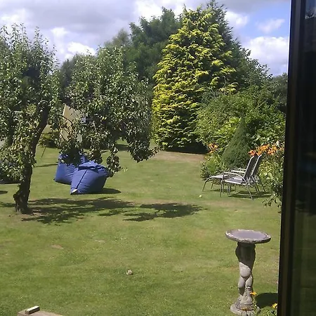 The Blue House